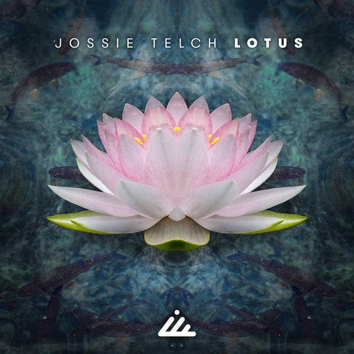 IBOGATECH - JOSSIE TELCH - Lotus