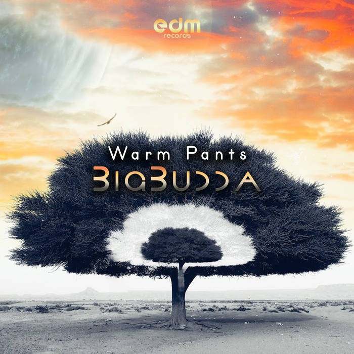 Edm Records - BIGBUDDA - Warm Pants