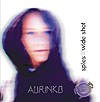 Aurinko Records - SPIES - wide shot