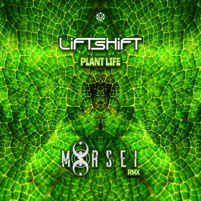 Maharetta Records - LIFTSHIFT, MORSEI - PLANT LIFE (MORSEI REMIX)