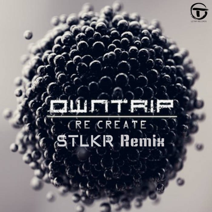 1.2. Trip Records - OWNTRIP - Re Create ( STLKR Remix)