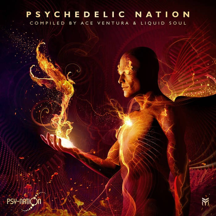 Future Music - ACE VENTURA, LIQUID SOUL - Psychedelic Nation Compiled by Ace Ventura & Liquid Soul
