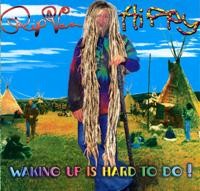 Psy Harmonics - RIP VAN HIPPY - Waking Up Is Hard To Do!