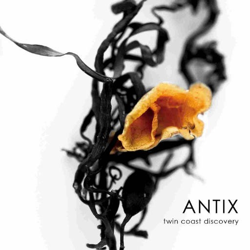Iboga Records - ANTIX - Twin Coast Discovery
