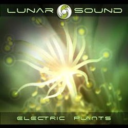 Zulu Lounge - LUNAR SOUND - Electric plants