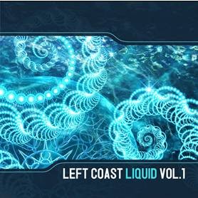 Native State Records - .Various - Left Coast Liquid – Vol. 1