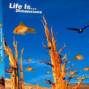 Yoyo Records - .Various - Life is Dimensions