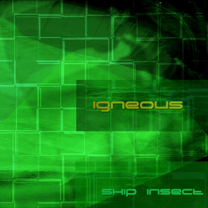 Headstick Records - IGNEOUS - Skip Insect