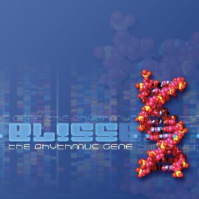 Phantasm Records - BLISS - The rhythmus gene