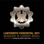 Mikrokosmos Records - .Various - martin & Liquid Soul - Labyrinth Essential 001