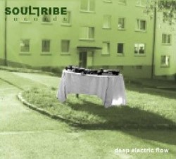 Soul Tribe Recordings - .Various - deep electric flow