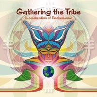 Interchill Records - .Various - Gathering The Tribe
