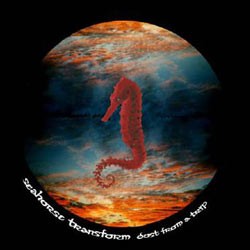 Sofa Beats Records - SEAHORSE TRANSFORM - dust from a trip