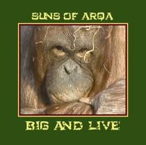 Arka Sound - SUNS OF ARQA - Big and Live