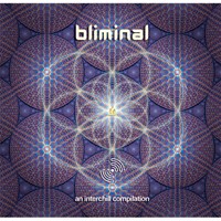 Interchill Records - .Various - Bliminal