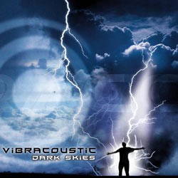 Shaman Electro - VIBRACOUSTIC - dark skies