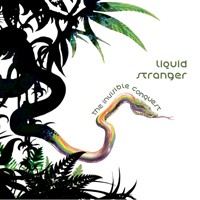 Interchill Records - LIQUID STRANGER - The Invisible Conquest