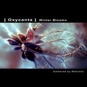 Ultimae Records - .Various - Oxycanta Winter Blooms