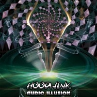 Wildthings Records - HOODWINK - Audio Illusion