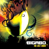 Psy Core Records - BIGABO - The Last Liquid