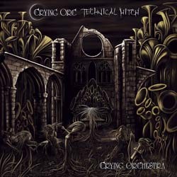 Insomnia Records - .Various - CRYING ORC / TECHNICAL HITCH - crying orchestra
