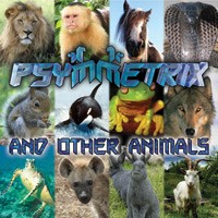 Bom Shanka Music - PSYMMETRIX - Psymmetrix & Other Animals