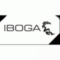 Iboga Records - KLEVER - Single - Digital EP