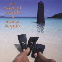 Disco Geko Recordings - BANCO DE GAIA - The Magical Sounds Of Banco De Gaia