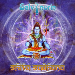 Node3 Records - SALVINORIN - Shiva Sadhana