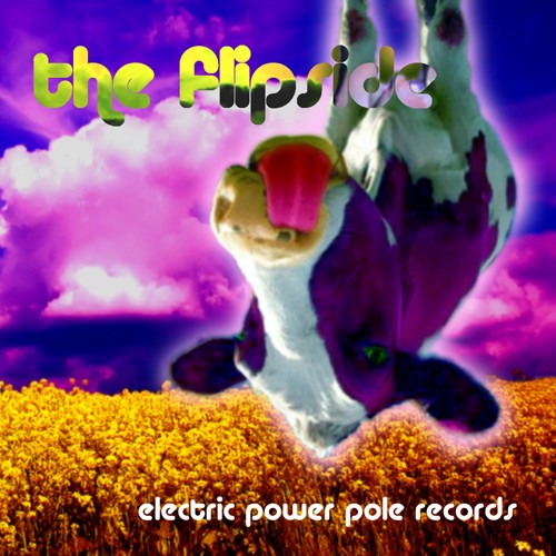 Electric Power Pole Records - .Various - The Flip Side