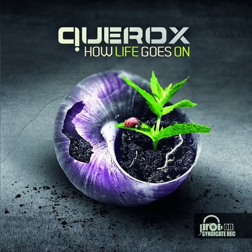 Prog on Syndicate Records - QUEROX - How Life Goes On