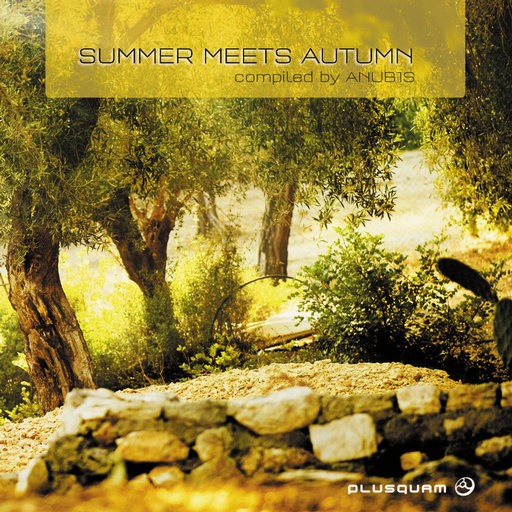 Plusquam Chill - .Various - Summer Meets Autumn