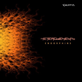 Rizoma Records - HETEROGENESIS - Endorphins