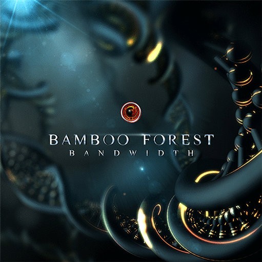 Phoenix Groove Records - BAMBOO FOREST - Bandwidth