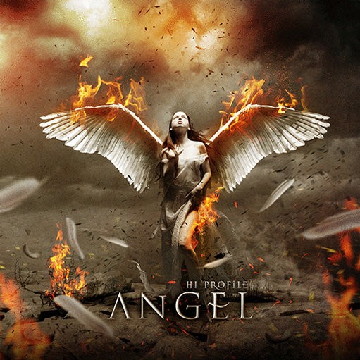 Phoenix Groove Records - HI PROFILE - Angel